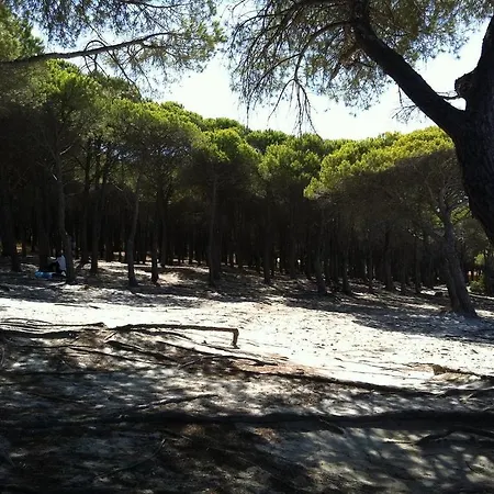 Vacanze Budoni