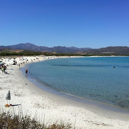Vacanze Daire